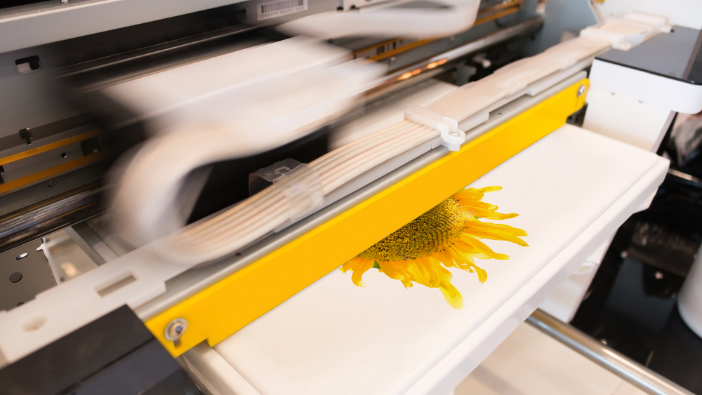 Why Do Printing Companies Prefer Digital Printing